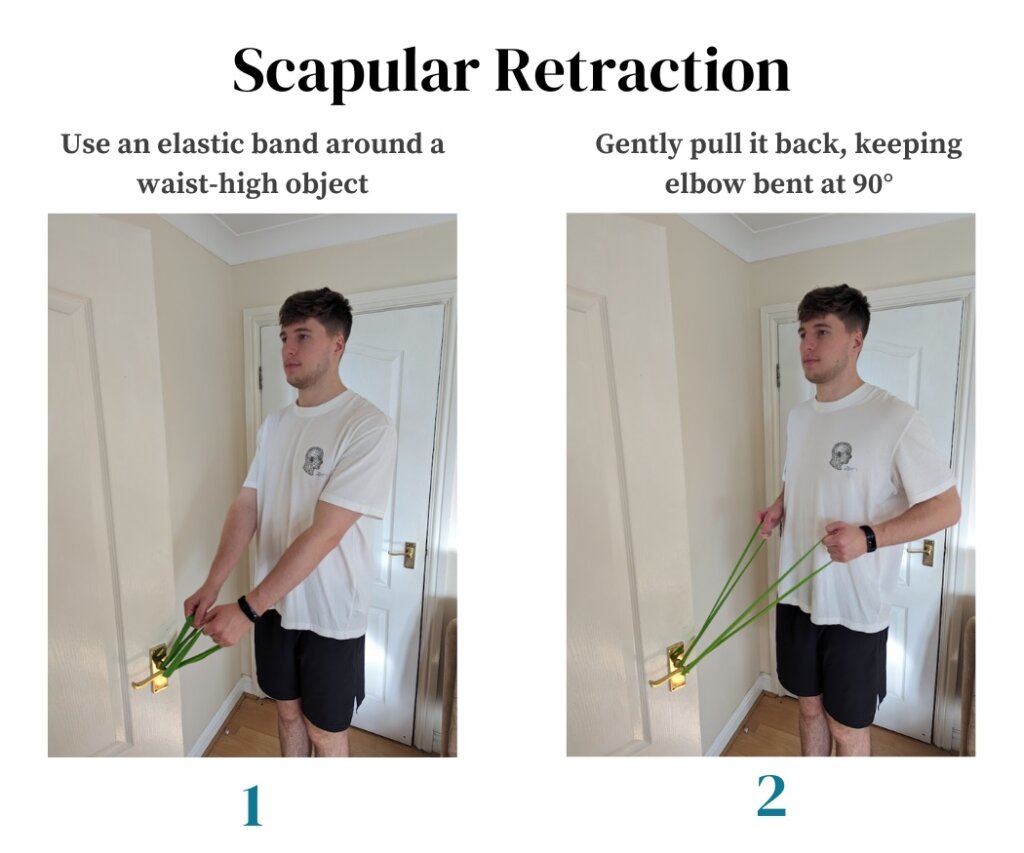 Scapular Retraction