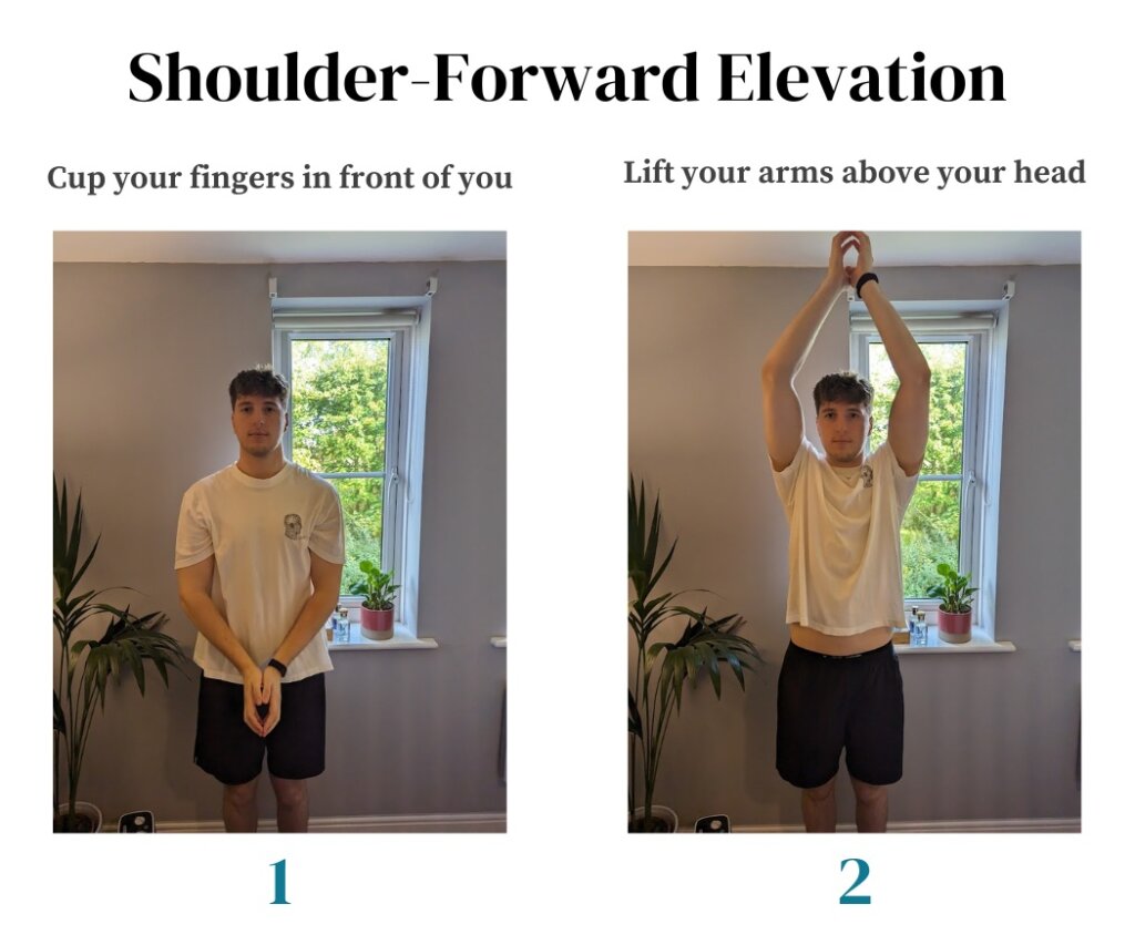 Shoulder forward elevation