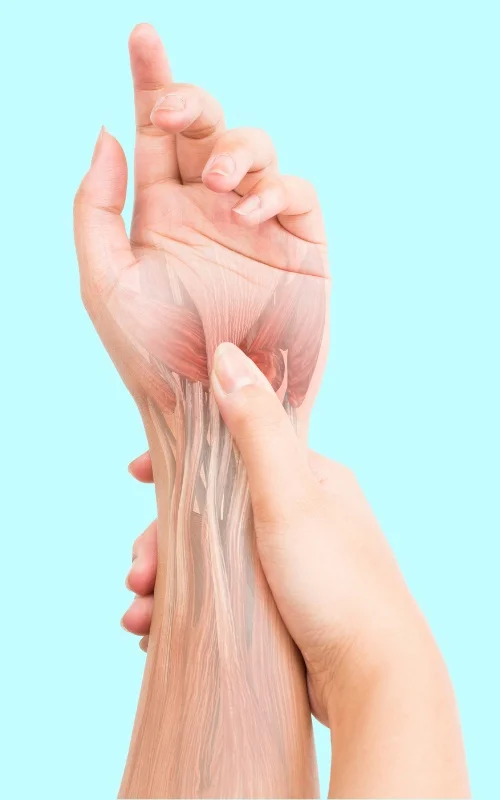 inflamed wrist bursitis anatomy