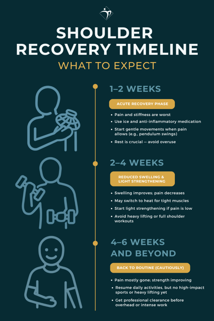 An illustration showing the recovery timeline of shoulder injuries.