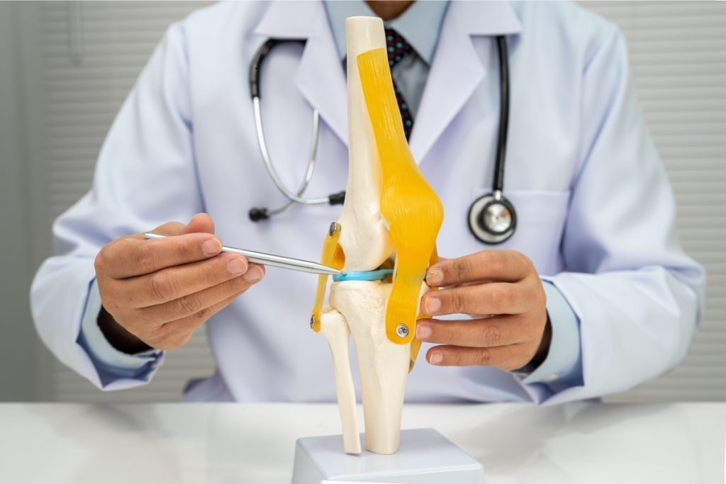 Doctor pointing out parts of knee